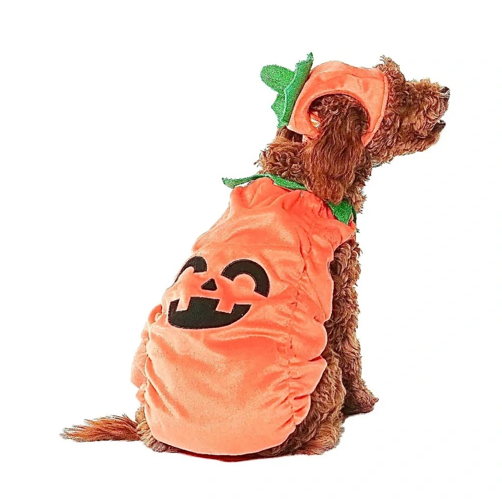 PET JACK-O’-LANTERN COSTUME NWT